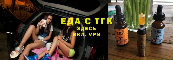 индика Аркадак