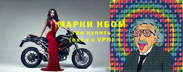 ГАЛЛЮЦИНОГЕННЫЕ ГРИБЫ Арсеньев