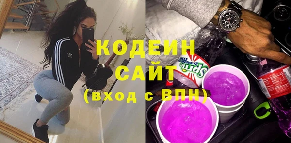 индика Аркадак
