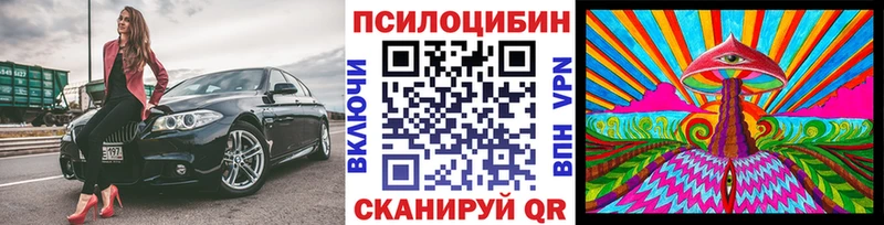 дарнет шоп  Макушино  Псилоцибиновые грибы мухоморы 